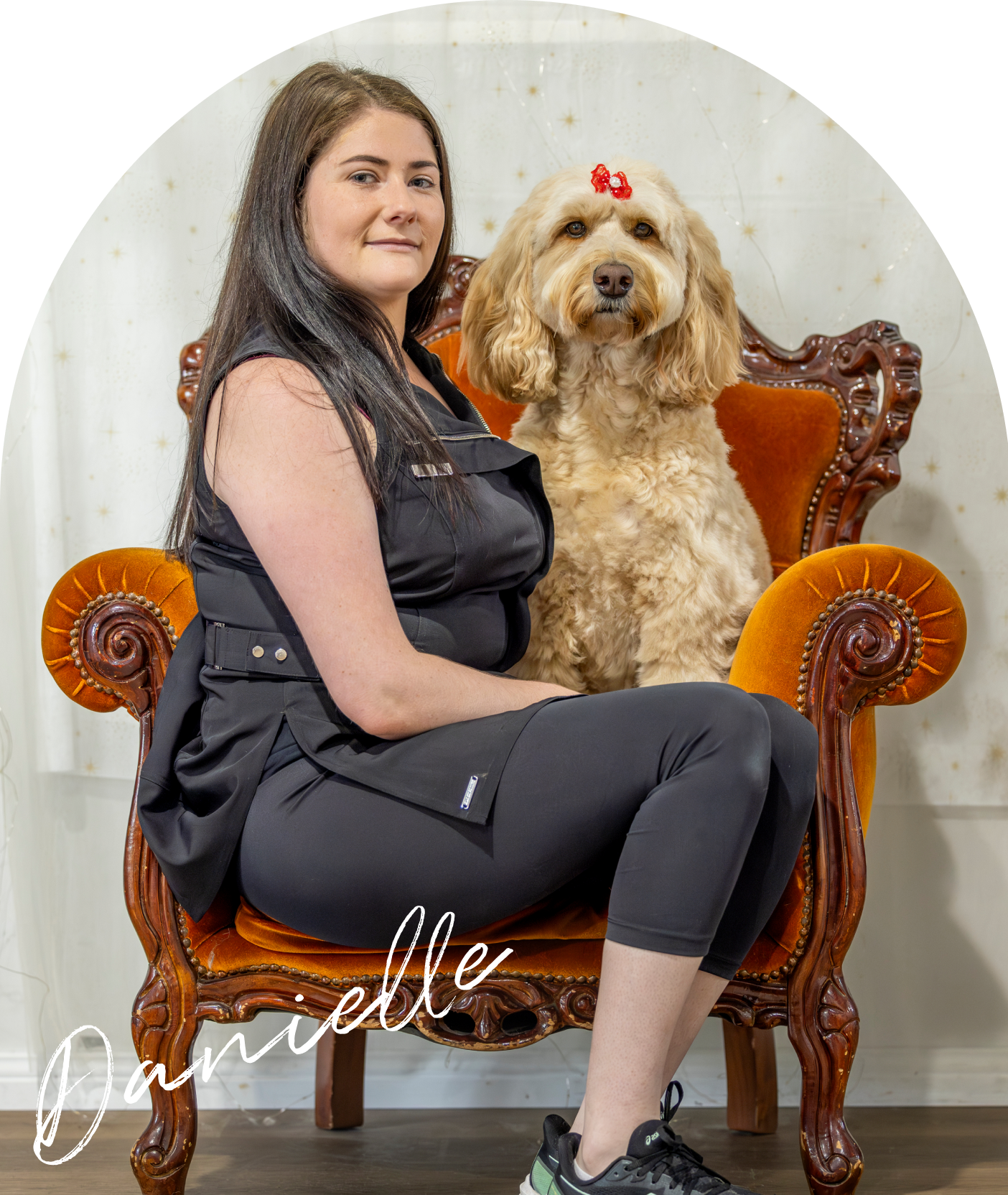 Oasis Pet Styling - Dog Grooming Singleton Kurri Kurri Wash Near Me Cat Deshed Puppy