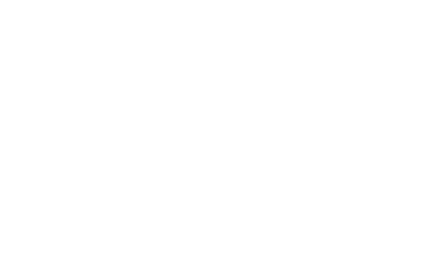 Oasis Pet Styling - Dog Grooming Singleton Kurri Kurri Wash Near Me Cat Deshed Puppy