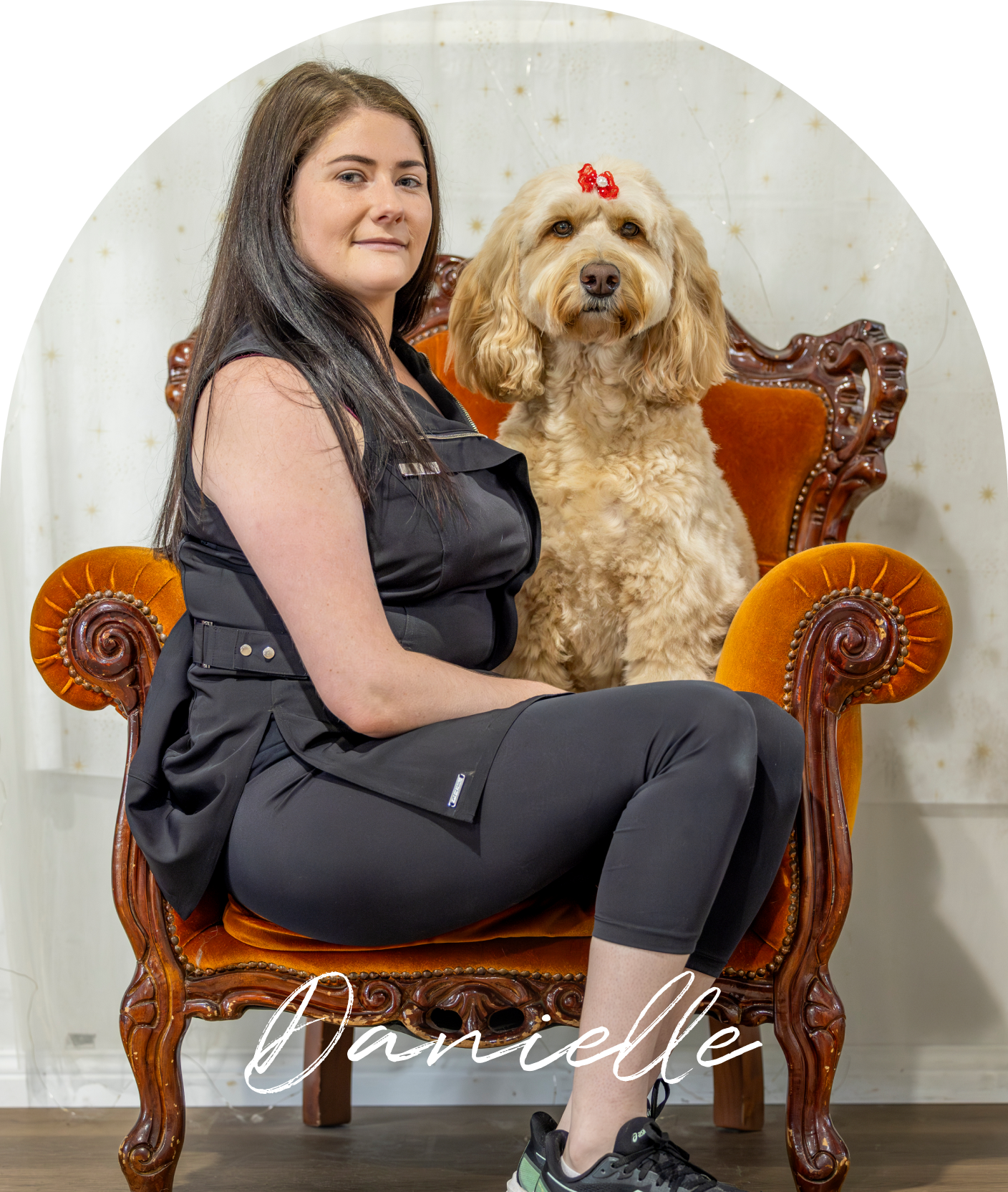 Oasis Pet Styling - Dog Grooming Singleton Kurri Kurri Wash Near Me Cat Deshed Puppy